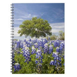 Cuaderno Texas bluebonnets(lupinus texensis) y roble