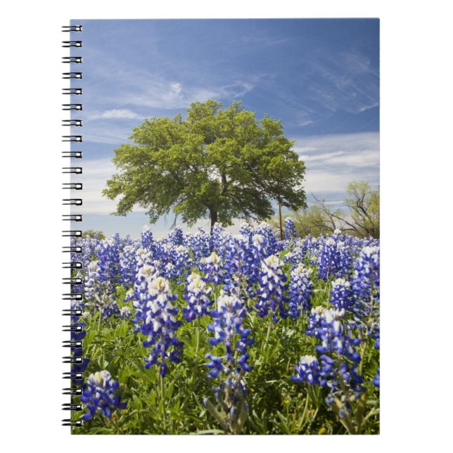 Cuaderno Texas bluebonnets(lupinus texensis) y roble (Frente)