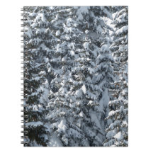 Textura de árbol de flor de nieve