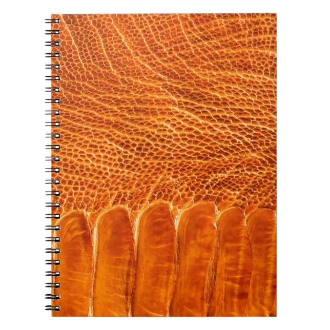 Cuaderno Textura de cuero de avestruz (Frente)