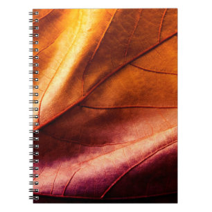 Cuaderno textura de cuero marróncuero,abstracto,antiguo,dor