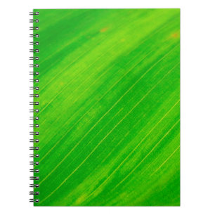 Cuaderno Textura de hoja venas de hojas verdes
