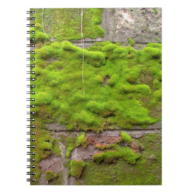 Cuaderno Textura de la roca verde de la pared del Moss (Frente)