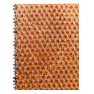 Cuaderno Textura de pan con muchos puntos (después de cocin
