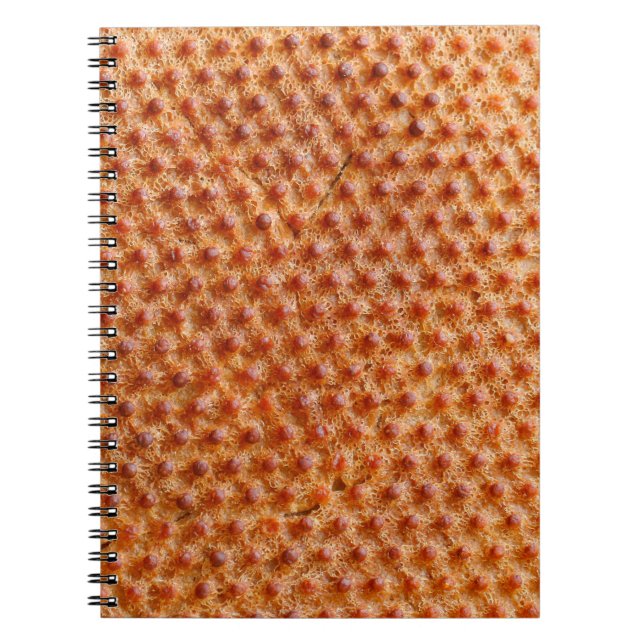 Cuaderno Textura de pan con muchos puntos (después de cocin (Frente)