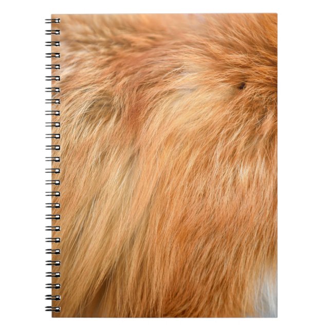 Cuaderno Textura de piel de zorro rojo (Frente)