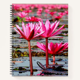 Cuaderno Thailand - Kumphawapi Lotus Lake