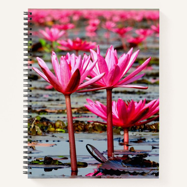 Cuaderno Thailand - Kumphawapi Lotus Lake (Anverso)
