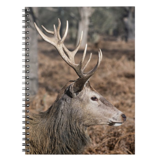 Cuaderno The King's Deer of Richmond Park, Londres, Reino U (Frente)