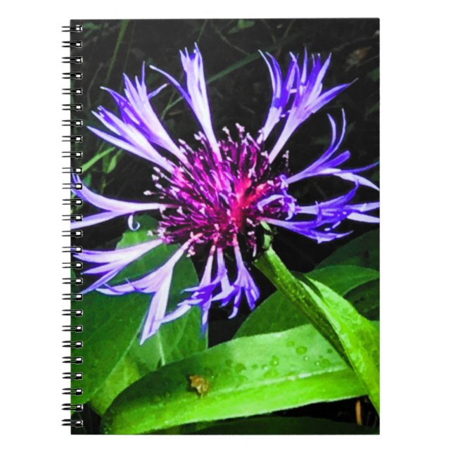 Cuaderno THE Thistle     (Frente)