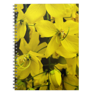 Cuaderno The yellow of laburnum flowers