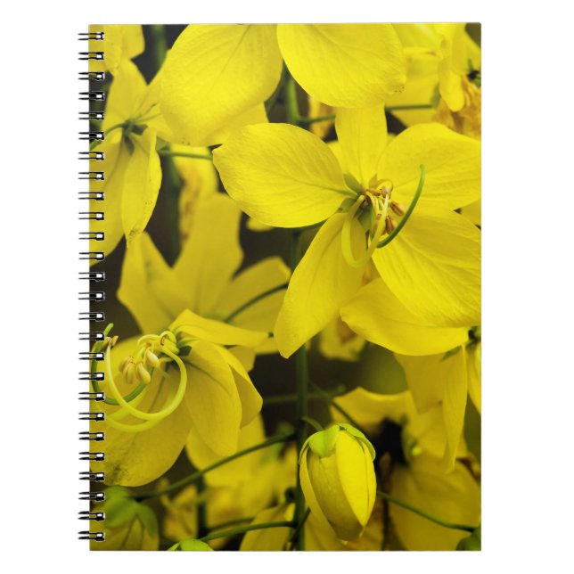 Cuaderno The yellow of laburnum flowers (Frente)