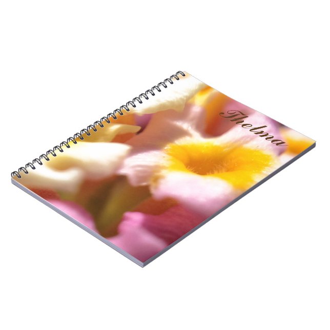 Cuaderno Thelma - portátil (Lado Izquierdo)