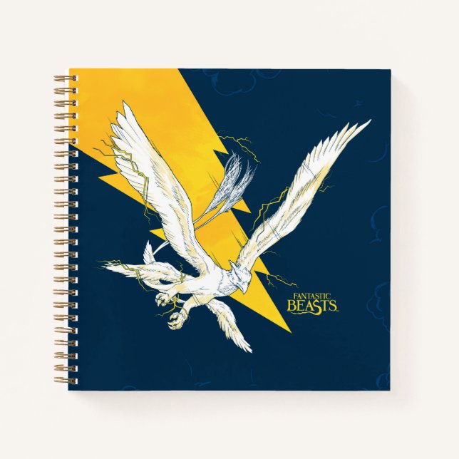 Cuaderno Thunderbird (Anverso)