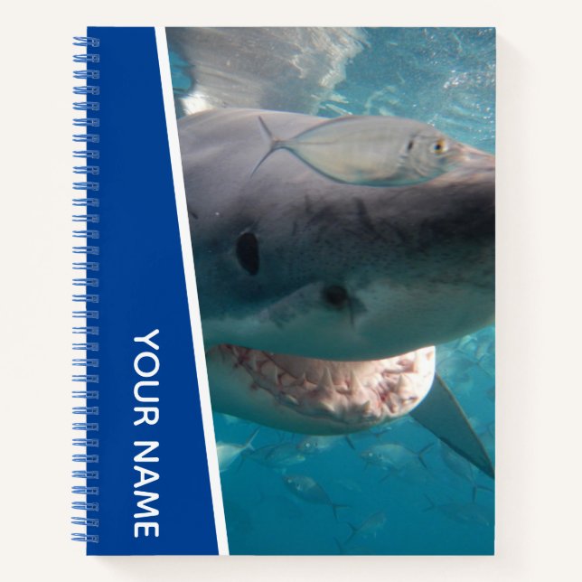 Cuaderno Tiburón Blanco Australia Sonrisa Dientes, Chicos A (Anverso)