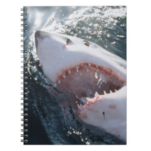 Cuaderno Tiburón blanco en el mar