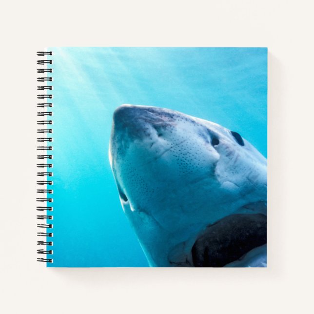 Cuaderno Tiburón Blanco | Sudáfrica (Anverso)