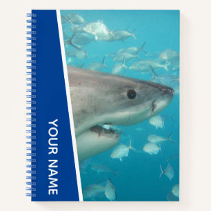 Cuaderno Tiburón Blanco Tema Océano Australia, Niños Azules