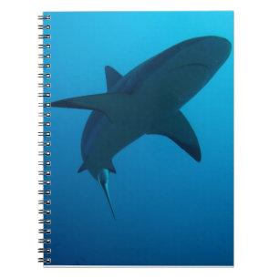 Cuaderno Tiburón del Caribe del filón