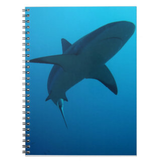 Cuaderno Tiburón del Caribe del filón
