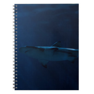 CUADERNO TIBURÓN GRIS EN EL CUERPO DEL AGUA