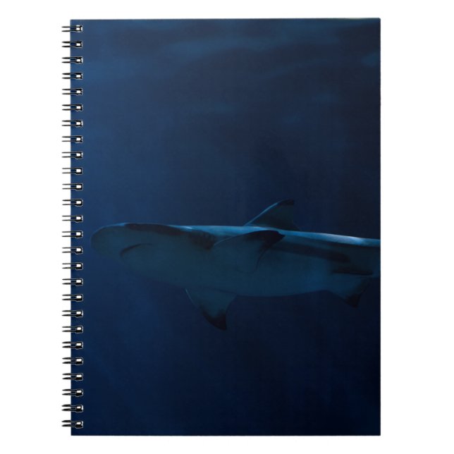 CUADERNO TIBURÓN GRIS EN EL CUERPO DEL AGUA (Frente)