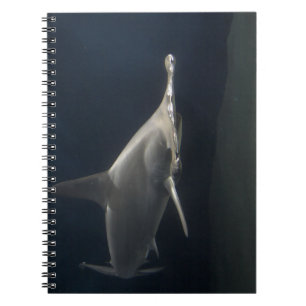 Cuaderno Tiburón martillo