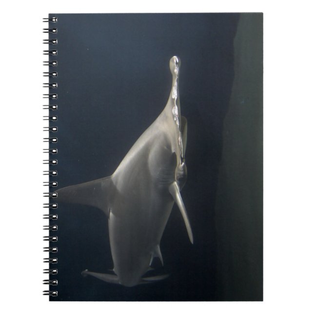 Cuaderno Tiburón martillo (Frente)