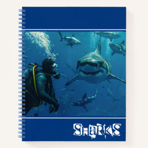 Cuaderno Tiburones