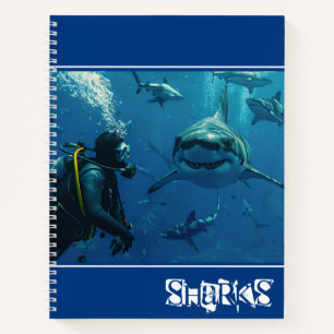 Cuaderno Tiburones