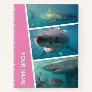Cuaderno Tiburones Blancos Australia Colaje de Fotos, Rosa