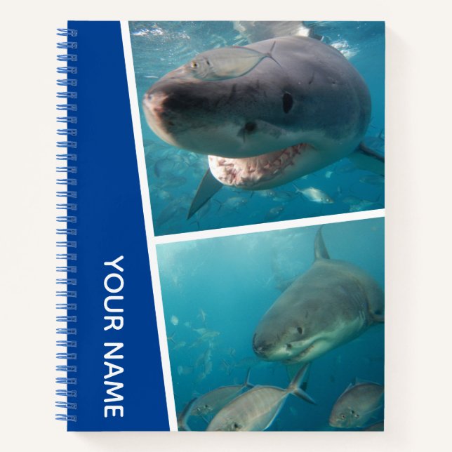 Cuaderno Tiburones de Australia Colaje de Fotos Subacuática (Anverso)