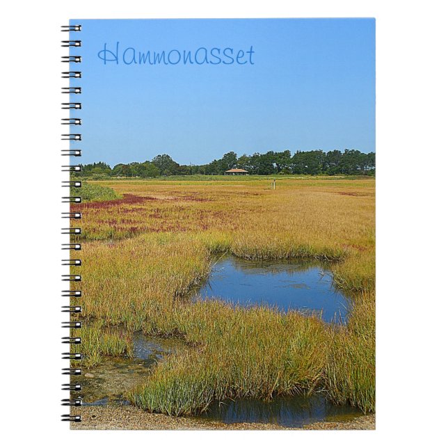 Cuaderno Tidepool Marsh Notebook (Frente)