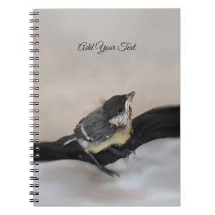Cuaderno Tidi my Bird the Parus Major