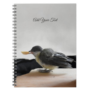 Cuaderno Tidi my Bird the Parus Major