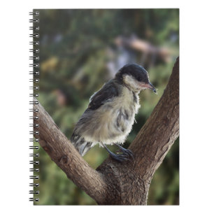 Cuaderno Tidi my Bird the Parus Major
