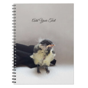 Cuaderno Tidi my Bird the Parus Major
