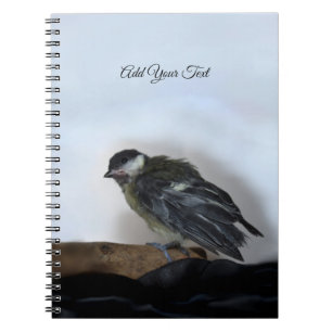 Cuaderno Tidi my Bird the Parus Major