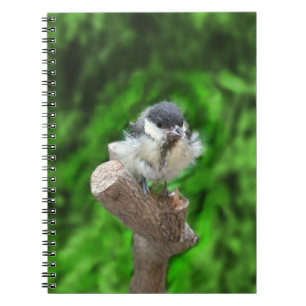Cuaderno Tidi my Bird the Parus Major