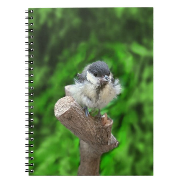 Cuaderno Tidi my Bird the Parus Major (Frente)