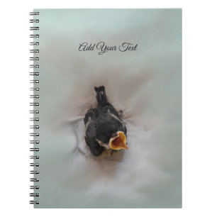 Cuaderno Tidi my Bird the Parus Major