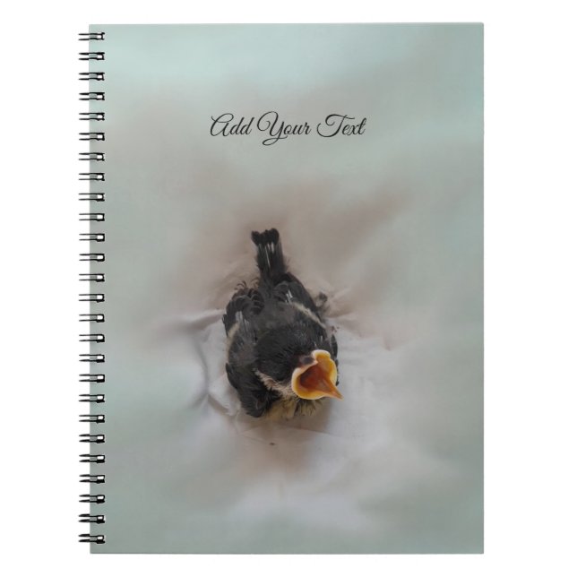 Cuaderno Tidi my Bird the Parus Major (Frente)