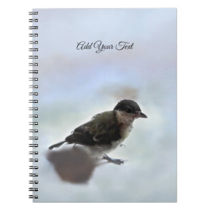 Cuaderno Tidi my Bird the Parus Major