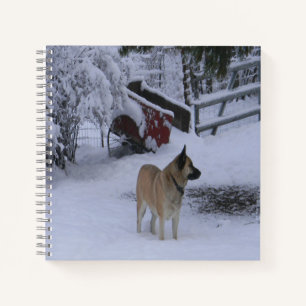 Cuaderno Tiempo de invierno......