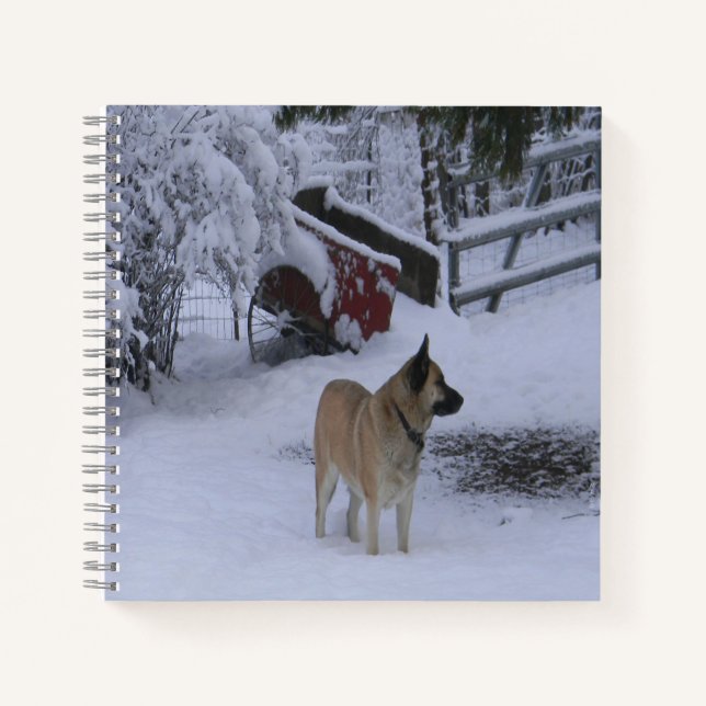 Cuaderno Tiempo de invierno...... (Anverso)