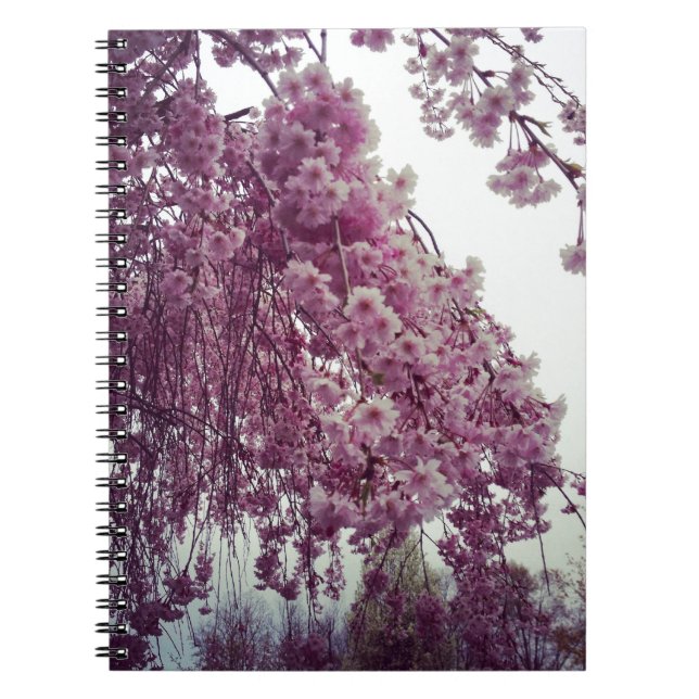 Cuaderno Tiempo de primavera (Frente)
