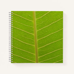 Cuaderno Tiempo de primavera