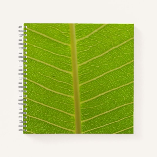 Cuaderno Tiempo de primavera (Anverso)