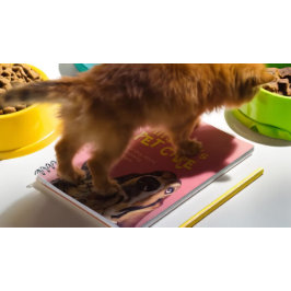 Cuaderno Tienda de alimentos de salón de baño para mascotas