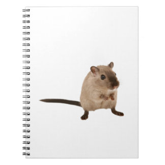 Cuaderno tierno hampster